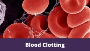 Blood Clotting