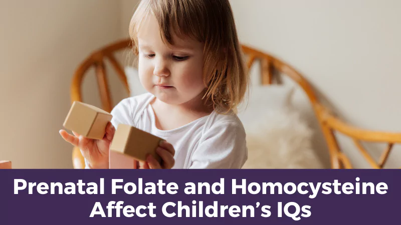 Prenatal Folate and Homocysteine Affect Children’s IQs