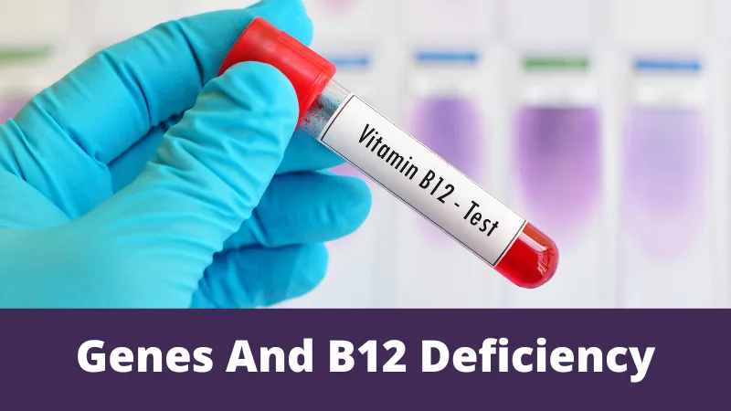 Genes And B12 Deficiency