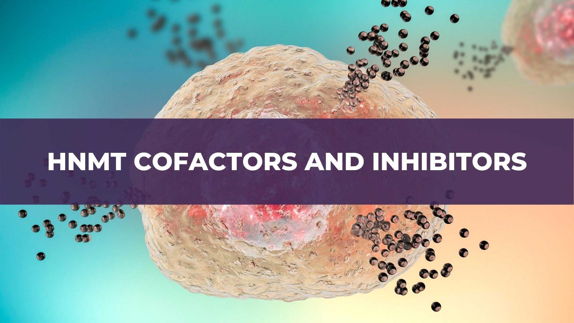 HNMT Cofactors and Inhibitors