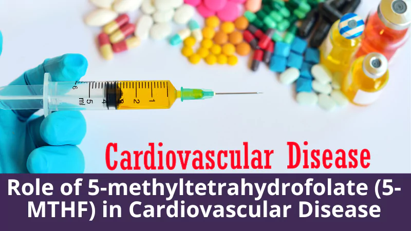 Role of 5-methyltetrahydrofolate (5-MTHF) in Cardiovascular Disease