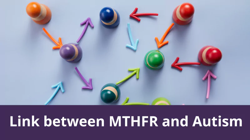 Link between MTHFR and Autism