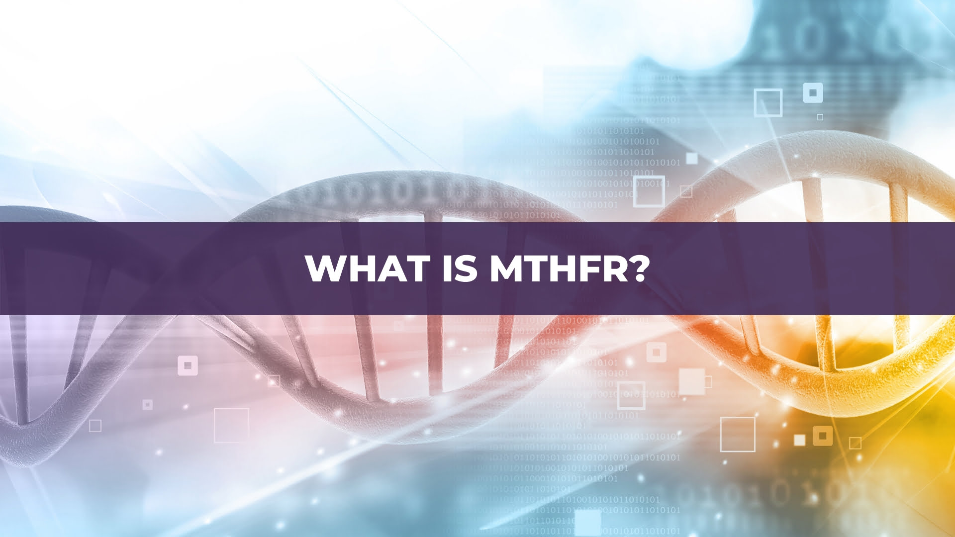 what is mthfr