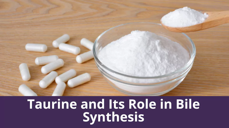 Taurine and Its Role in Bile Synthesis