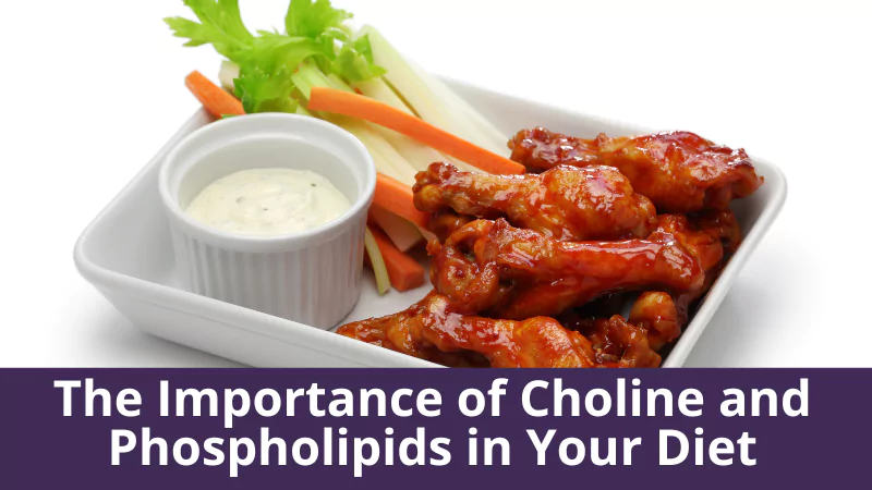 The Importance of Choline and Phospholipids in Your Diet