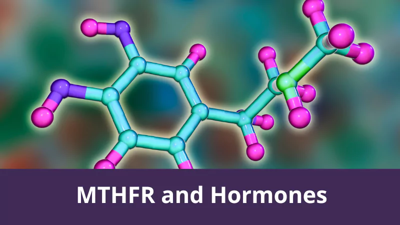 MTHFR and Hormones