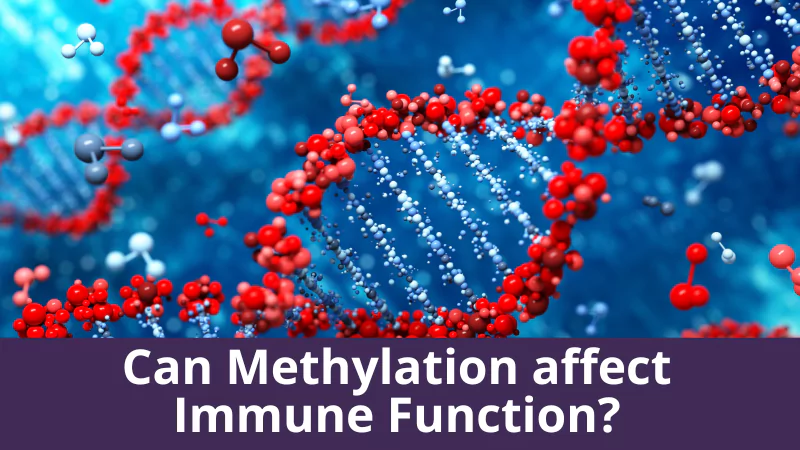 Can Methylation affect Immune Function?