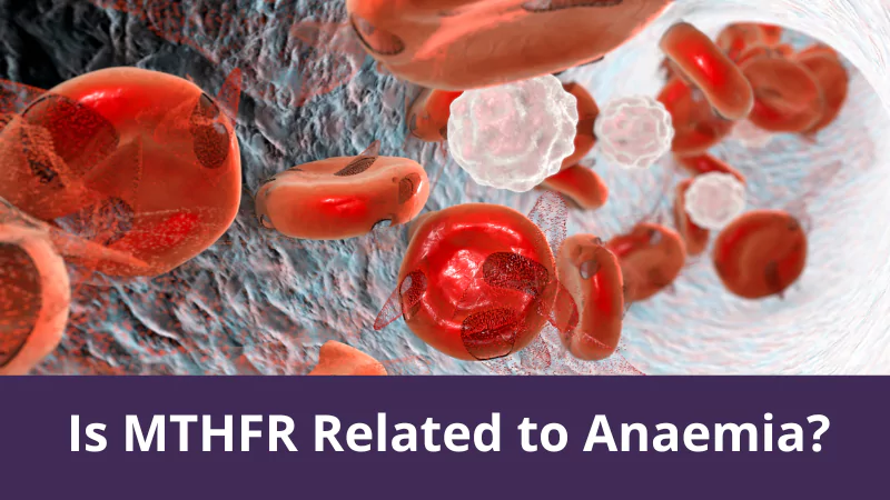 Is MTHFR Related to Anaemia?