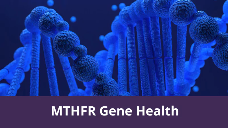 MTHFR Gene Health