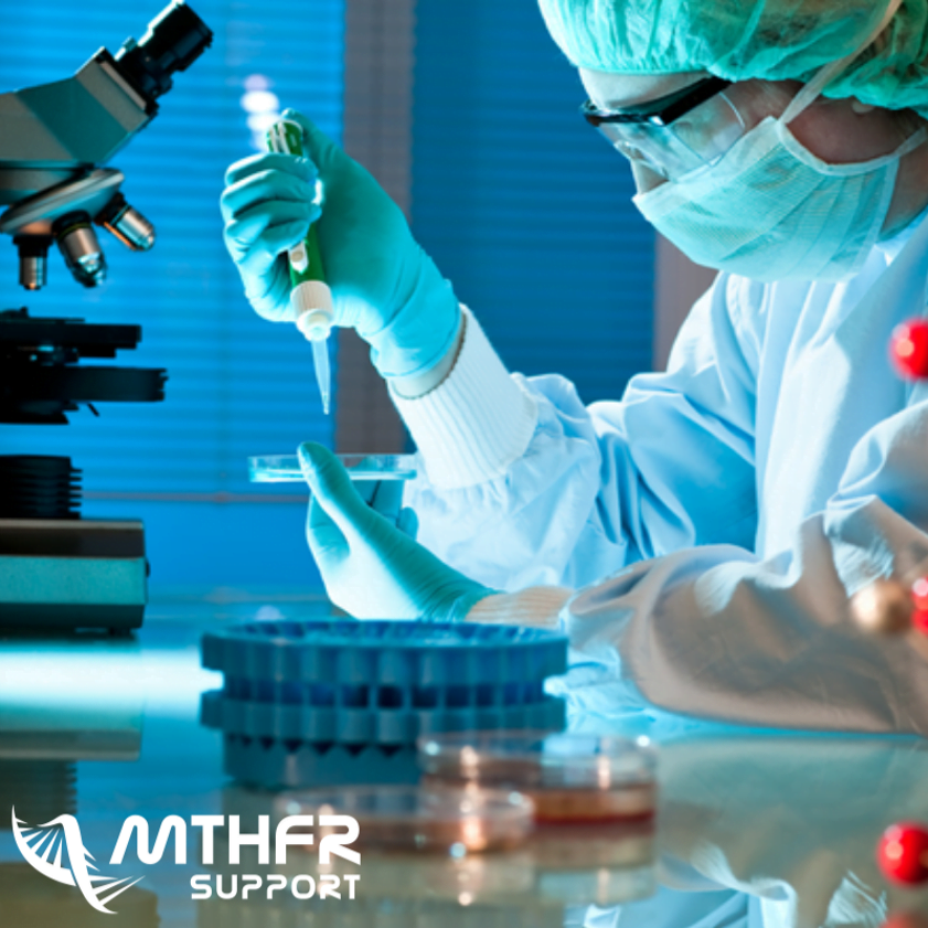 How does MTHFR affect your fertility?