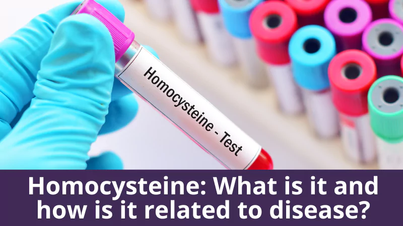 Homocysteine: What is it and how is it related to disease?