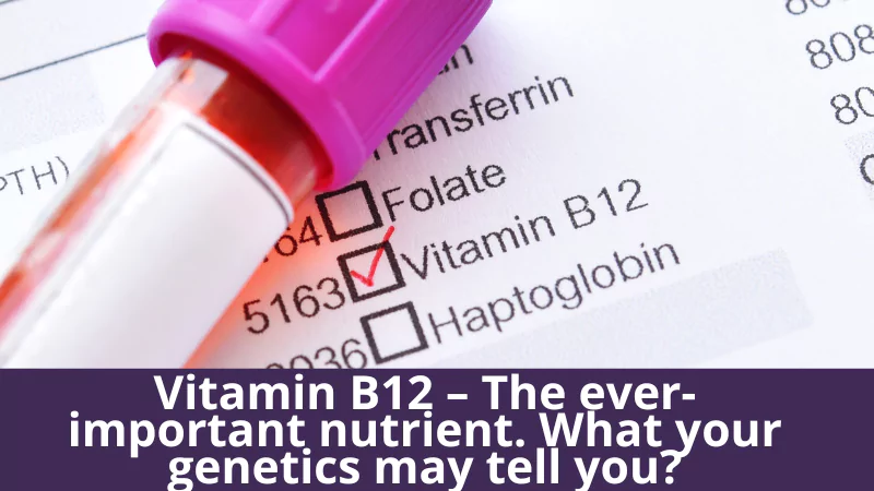Vitamin B12 – The ever-important nutrient. What your genetics may tell you?