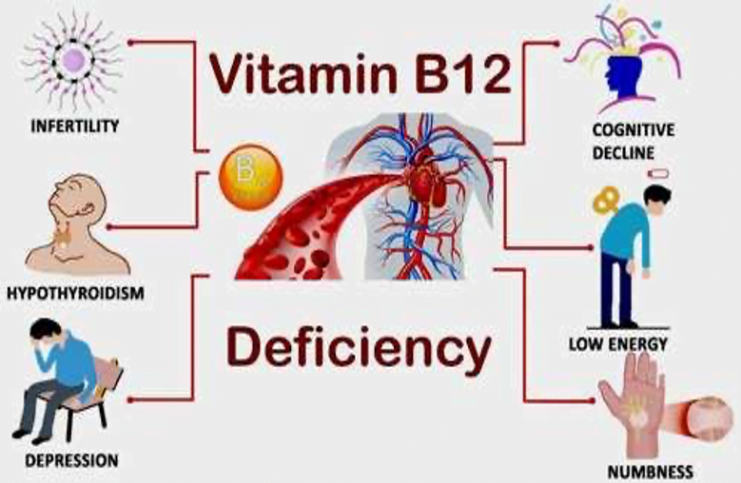 Vitamin B12 - The ever-important nutrient. What your genetics may tell ...