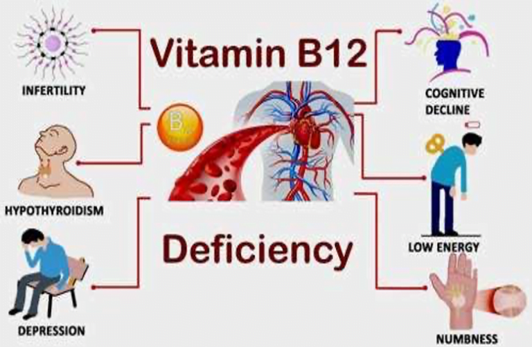 Vitamin B12 - The ever-important nutrient. What your genetics may tell ...