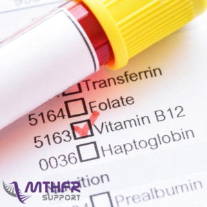 Vitamin B12 - The ever-important nutrient. What might your genetics tell you?