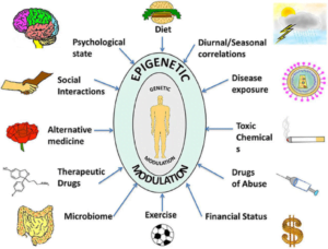 How to best understand your genetics