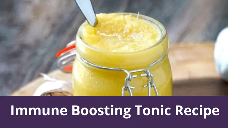 Immune Boosting Tonic Recipe