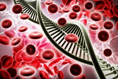 cells-blood-dna