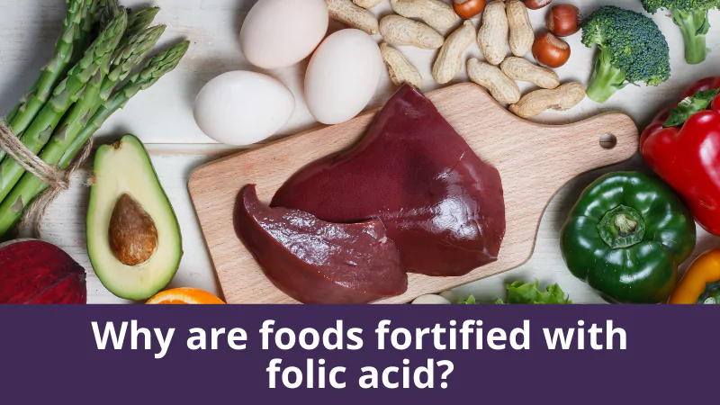 Why are foods fortified with folic acid?