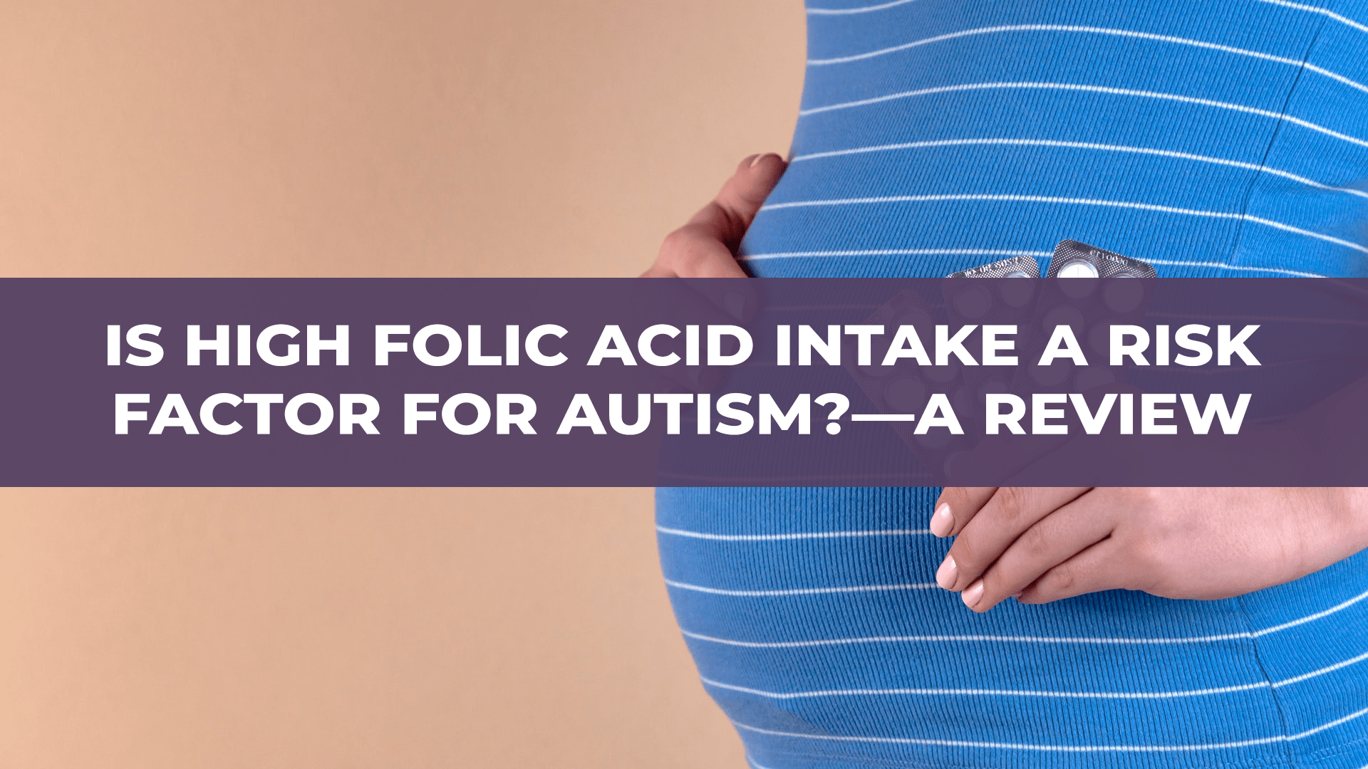 Is High Folic Acid Intake a Risk Factor for Autism