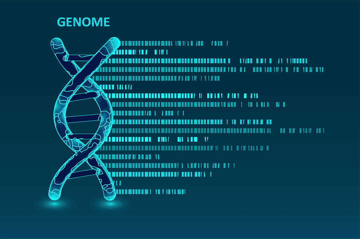 MTHFR polymorphism