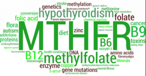 The Role of MTHFR in Thyroid Conditions